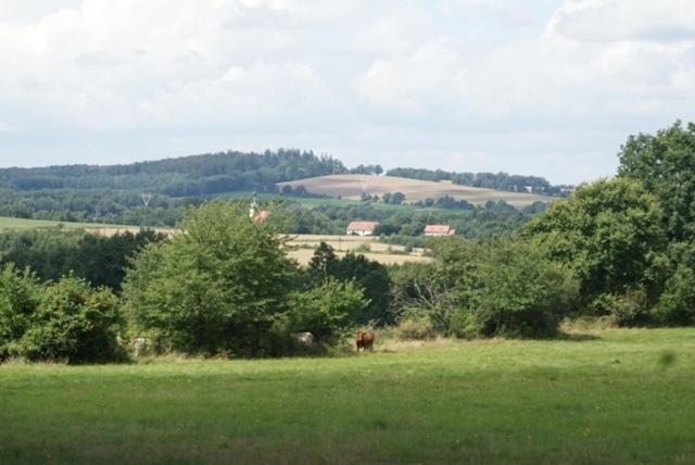 Izerski Dom Leśna Esterno foto